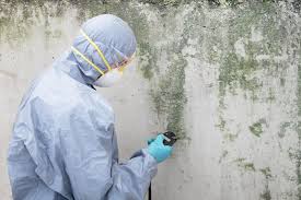 Best Residential Mold Inspection & Testing in South Hempstead, NY